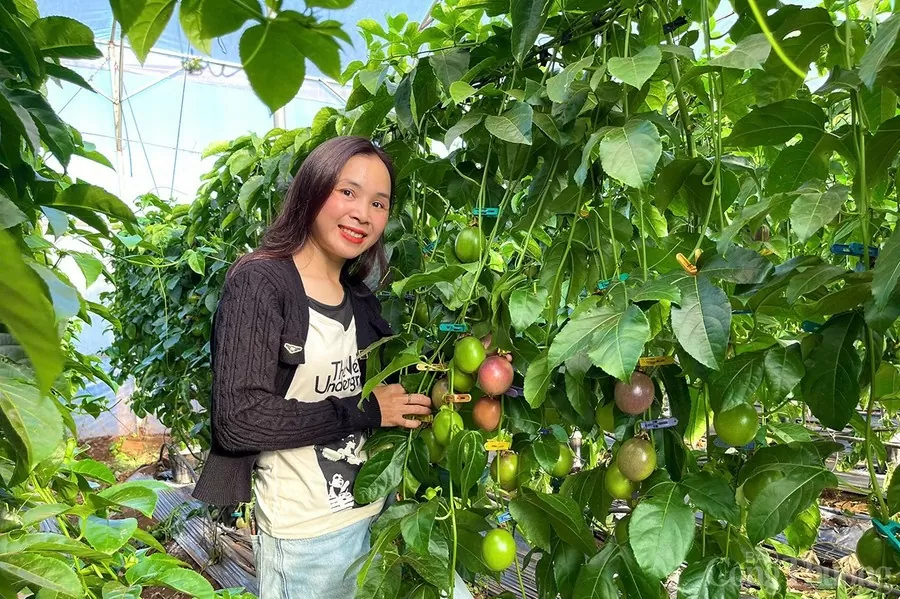 Ứng dụng AI và cảm biến trong nông nghiệp nông thôn