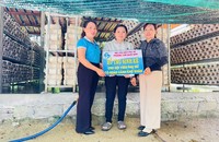 'Cú hích' xóa nghèo từ vốn vay ưu đãi ở Hoài Nhơn