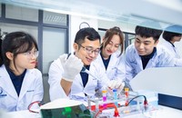 Nghiên cứu khoa học là đòn bẩy để giáo dục đại học Việt Nam tăng hạng