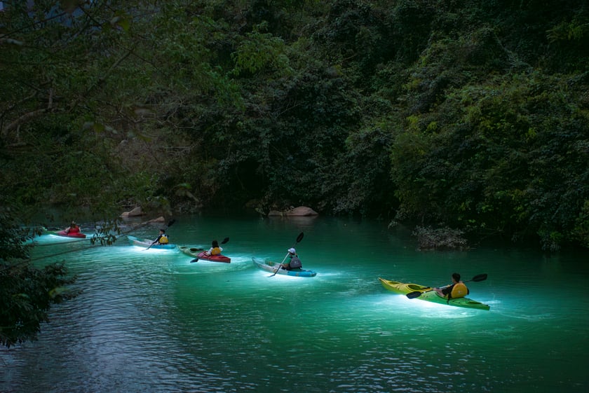 Chạm vào “viên ngọc xanh” giữa đại ngàn Quảng Bình 9 BDR_NightKayak (15)