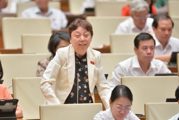 db phong lan 1747884540432112751700420250522120511