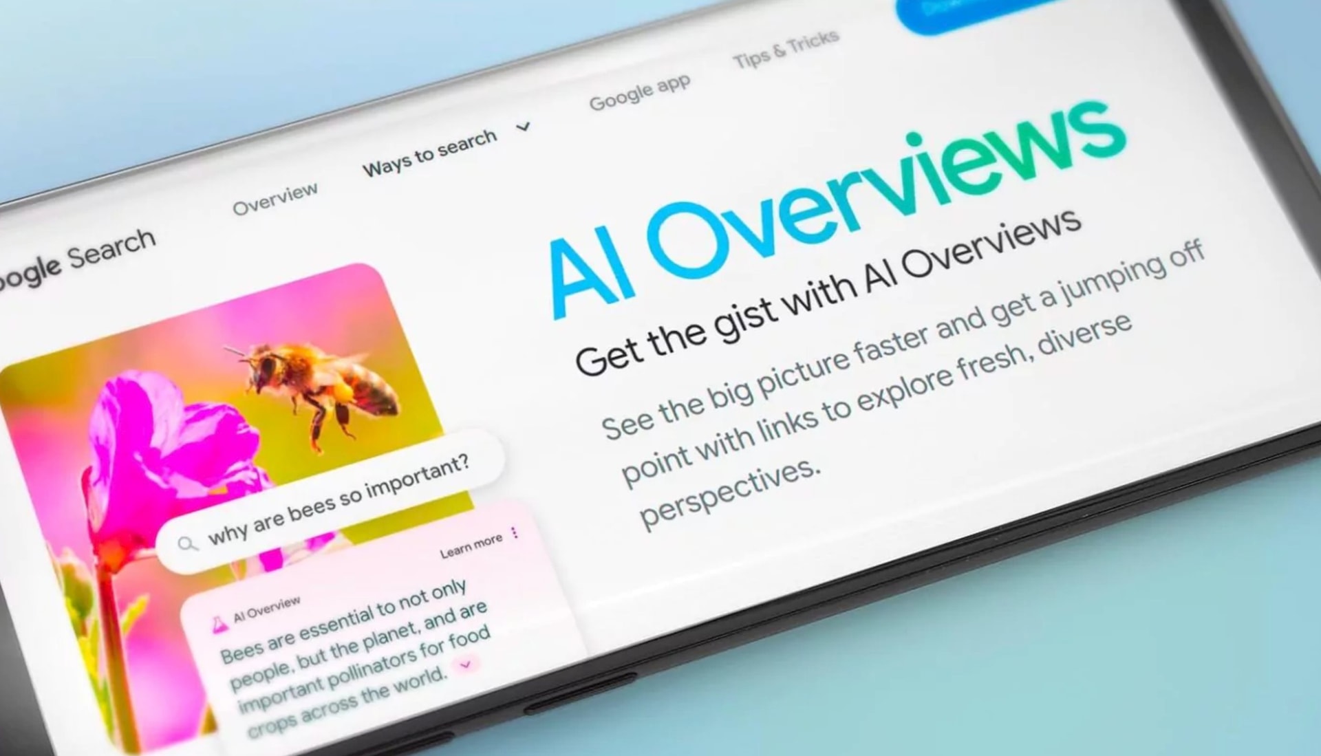 Google có thể huấn luyện các sản phẩm AI cho tìm kiếm bằng nội dung trên web dù bị từ chối 1 google-co-the-dao-tao-cac-san-pham-ai-cho-tim-kiem-bang-noi-dung-web-ngay-ca-khi-bi-tu-choi.jpg