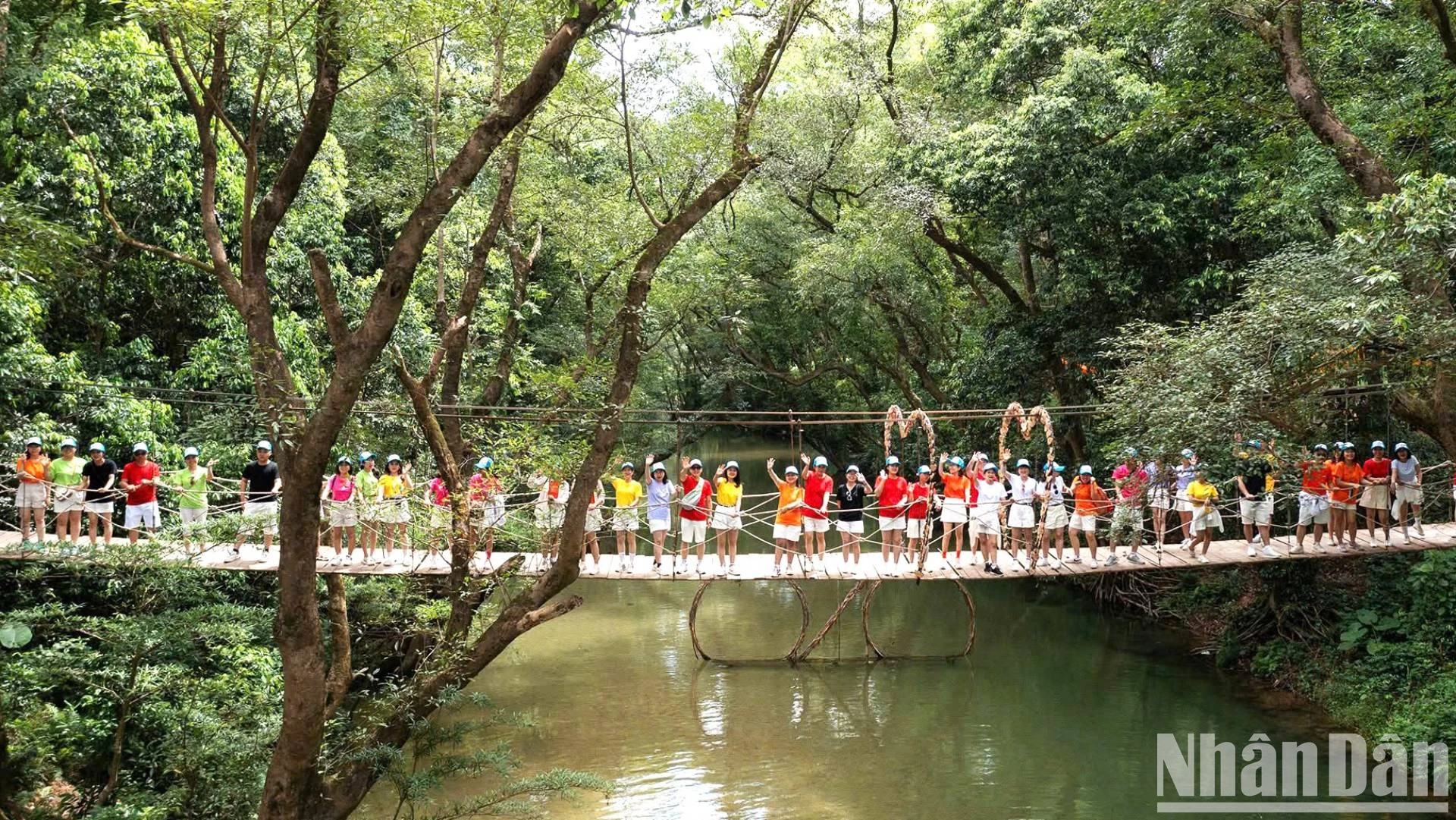 ndo br a10 118 9208.jpg.webp