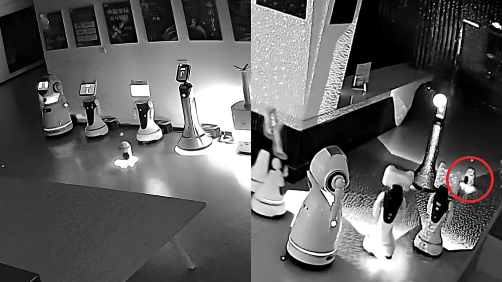 Robot cao 70cm rủ 12 robot khác đào tẩu khỏi nơi làm việc, khiến giới công nghệ sửng sốt 1 Báo động đỏ về AI: Con robot cao 70cm rủ 12 robot đào tẩu khỏi nơi làm việc, khiến giới công nghệ sửng sốt - ảnh 1