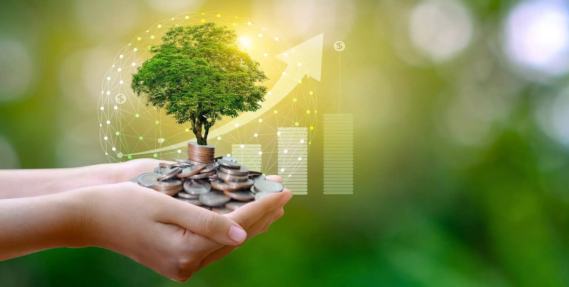 Ứng dụng AI để giảm thiểu rủi ro đạo đức trên thị trường tài chính xanh 2 tai-chinh-xanh-1.jpg