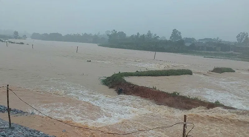 Hình ảnh 1 a1 1749791110