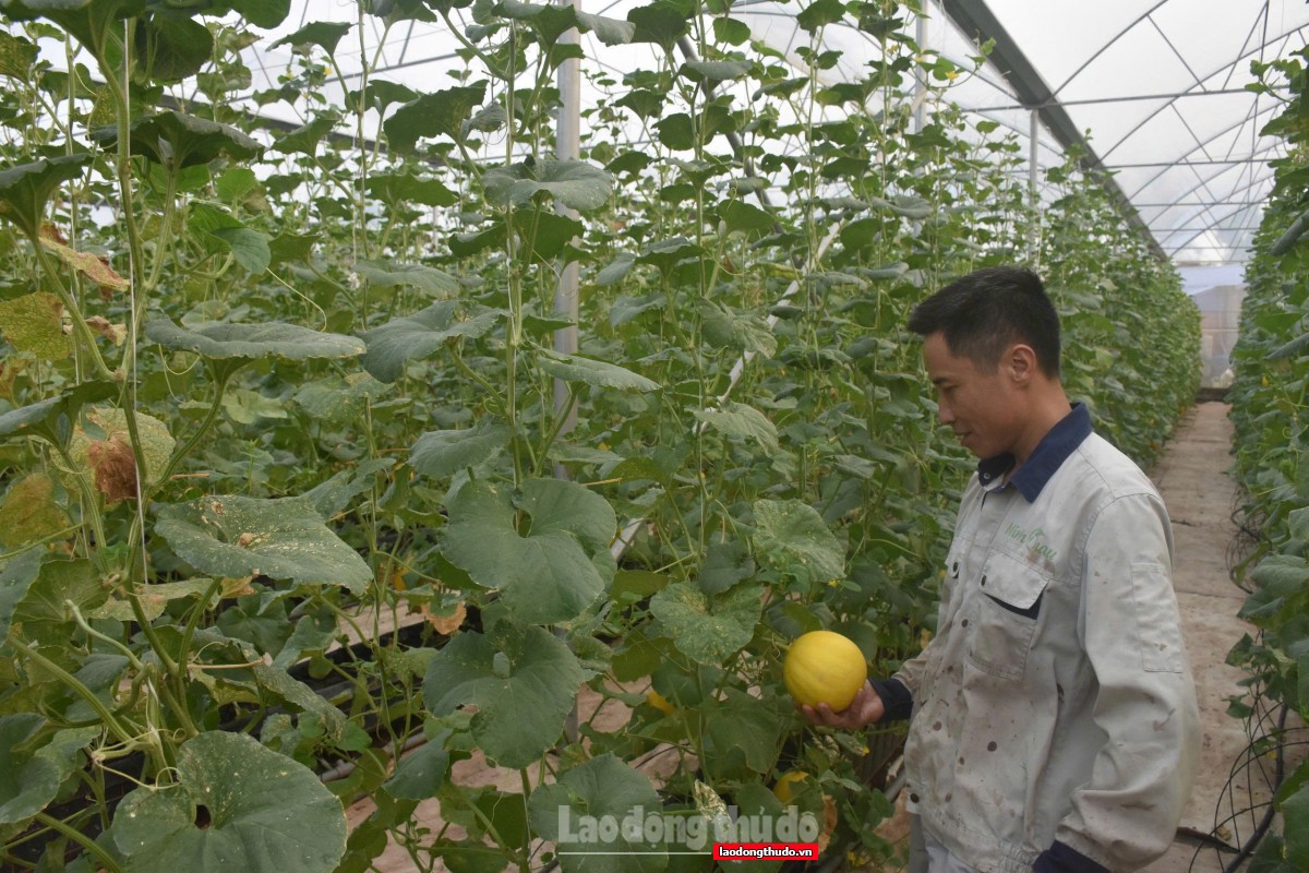 Chuyển đổi xanh: Cuộc chơi không của riêng ai