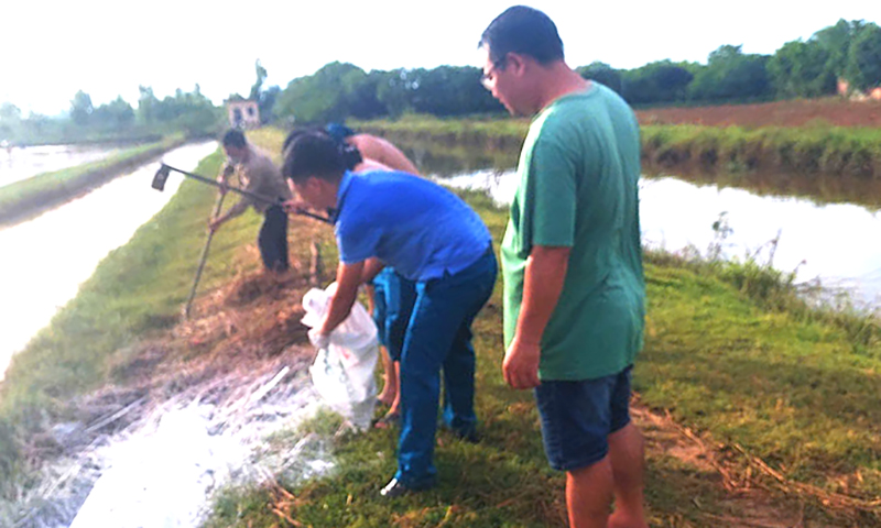 UBND phường Bắc Lý xử lý số lợn chết bị vứt trên kênh mương.