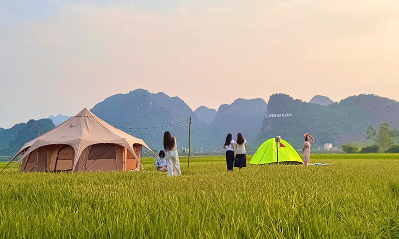 Trải nghiệm cuộc sống thiên nhiên yên bình giữa cánh đồng lúa.