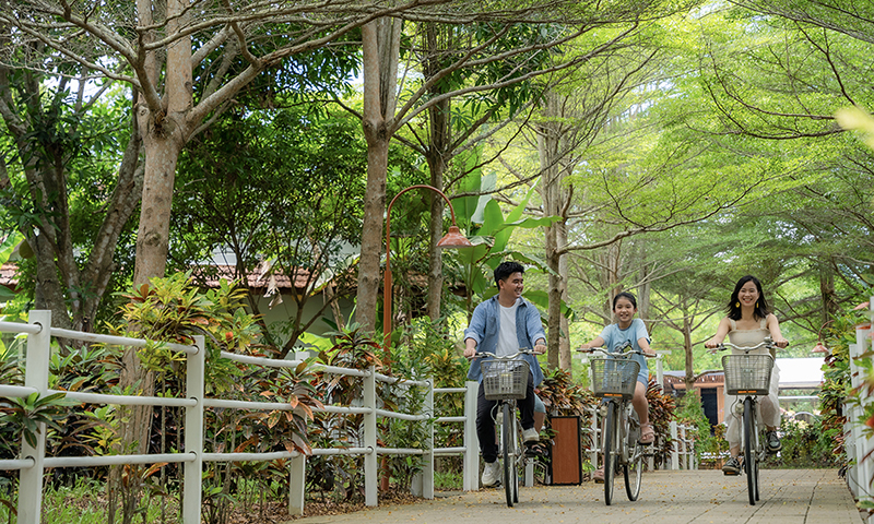 Nhiều gia đình yêu thích trải nghiệm đạp xe quanh khuôn viên rợp bóng cây tại Chày Lập Farmstay.  Nguồn:Chày Lập Farmstay