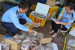 Phát hiện gần 4 tấn thực phẩm nhập lậu tại 1 công ty ở Quảng Bình 1 Quảng Bình thu giữ gần 3 tạ thực phẩm không rõ nguồn gốc