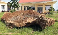 Tính chuyện khai thác mỏ ngọc bích ở Quảng Bình 5 Tảng đá quý nặng 20 tấn