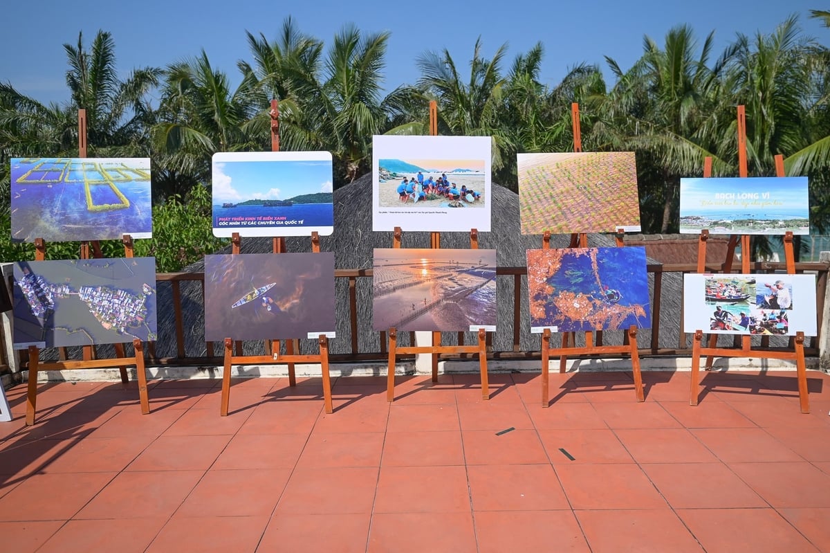 Triển lãm ảnh 'Hành động vì đại dương xanh'. Ảnh: Tùng Đinh. Triển lãm ảnh 'Hành động vì đại dương xanh'. Ảnh: Tùng Đinh.