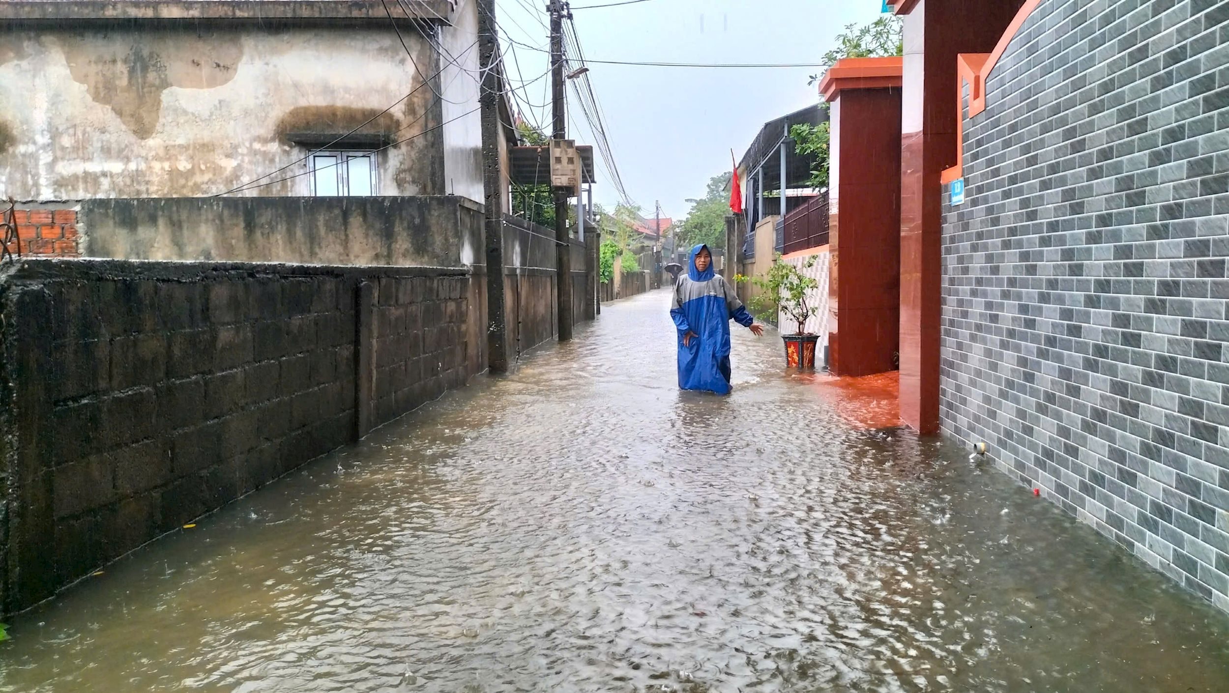Hai chị em bị lũ cuốn, người dân cứu lúa trong đêm 4 z6699987410327_f0ffb3f6cb589af5149ecc31a9700b3d.jpg