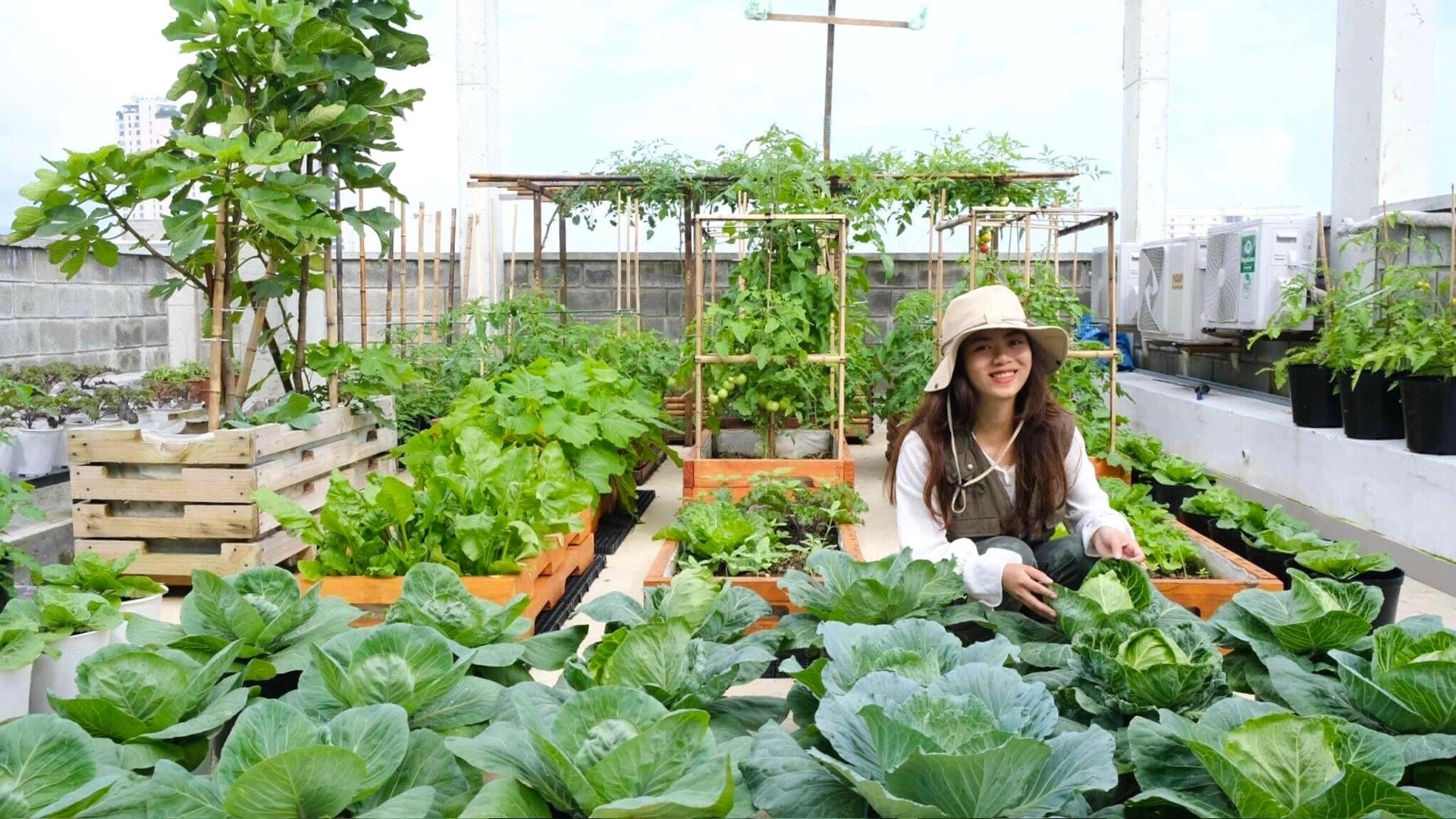 Mê mẩn khu vườn sân thượng đẹp 'như vẽ bằng AI' của mẹ đảm Đà Nẵng 2 Mê mẩn khu vườn sân thượng đẹp 'như vẽ bằng AI' của mẹ đảm Đà Nẵng - 2