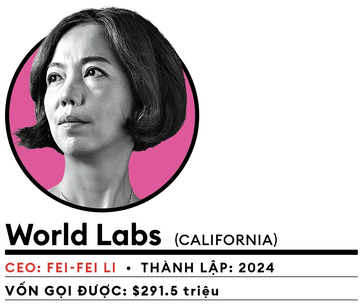 Cứ 10 người sẽ 9 người mất việc vì startup AI này? 13 World Labs