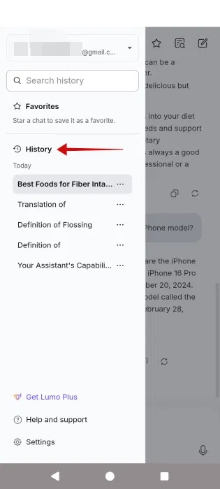 Bạn lo lắng về quyền riêng tư của AI? Hãy thử chatbot Lumo của Proton! 7 Truy cập History trong ứng dụng Lumo trên Android.