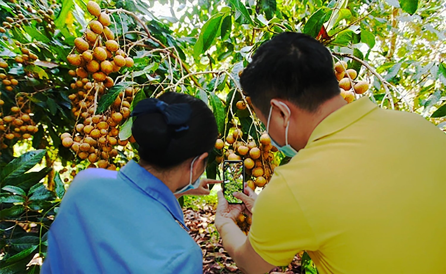 Thương mại điện tử - lựa chọn ưu tiên của doanh nghiệp 2 tap huan