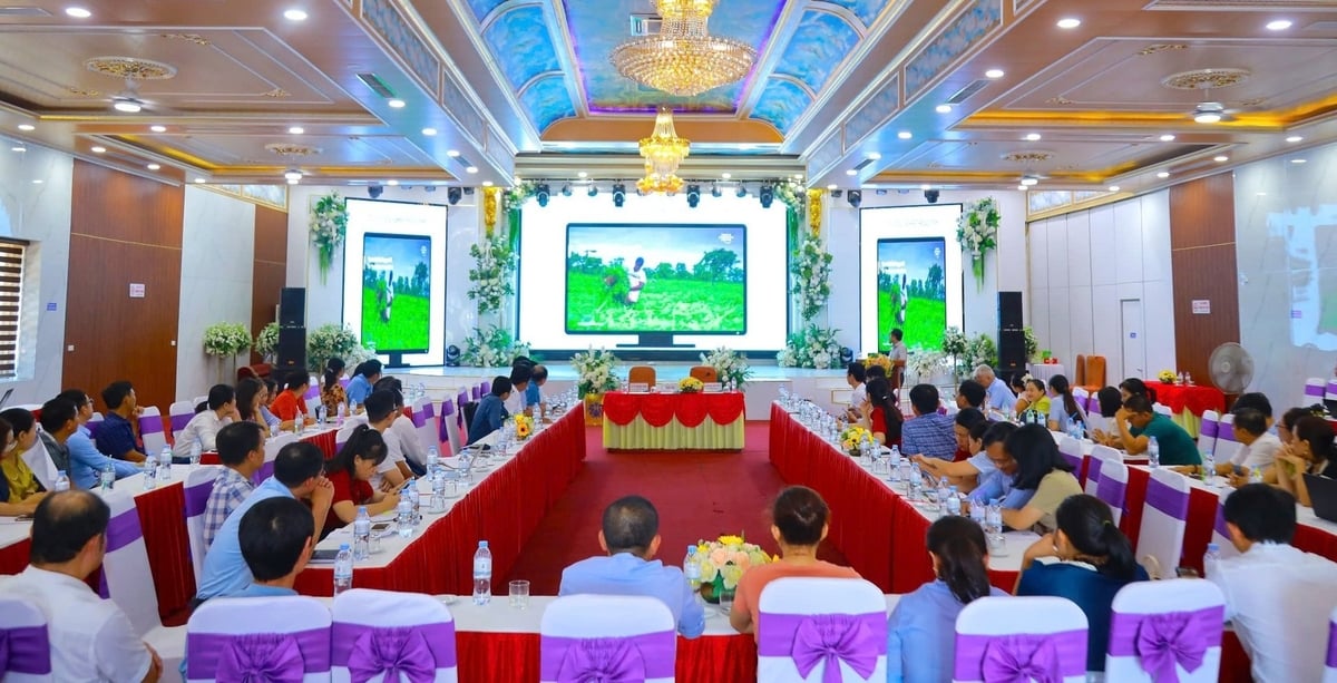 Ứng dụng trí tuệ nhân tạo trong công tác khuyến nông là xu thế tất yếu trong bối cảnh hiện nay. Ảnh: Việt Khánh. 