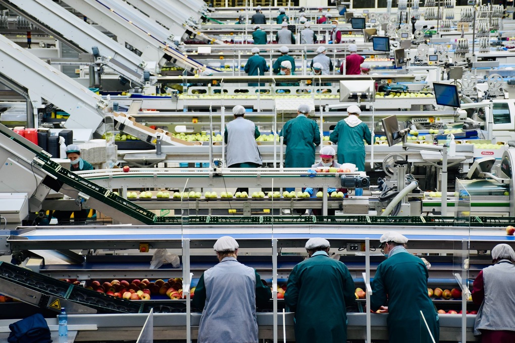 Nghe AI mỗi sáng, bí mật vượt bão của các giám đốc cung ứng thời đại mới - 1