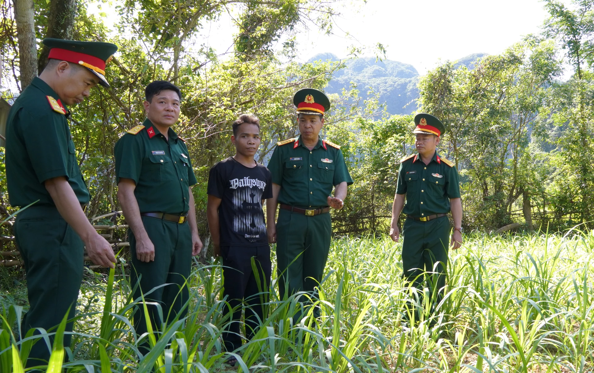 Các đại biểu kiểm tra mô hình trồng cỏ nuôi bò sinh sản tại cụm Còi, bản Còi Đá, xã Kim Ngân - Ảnh: N.H 