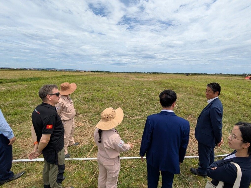 Các đại biểu tham quan khu đất đã sạch bom mìn tại Quảng Trị. Ảnh: Đại sứ quán Nhật Bản tại Việt Nam