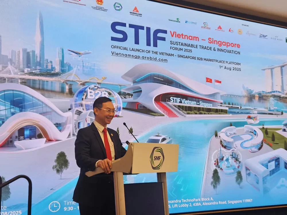 Ra mắt nền tảng thương mại điện tử song phương Việt Nam - Singapore ảnh 1 thương mại điên tử