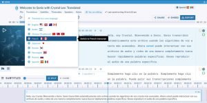 translation translation subtitles d5d9d5a0275ef84b81f0d389d79d4c13