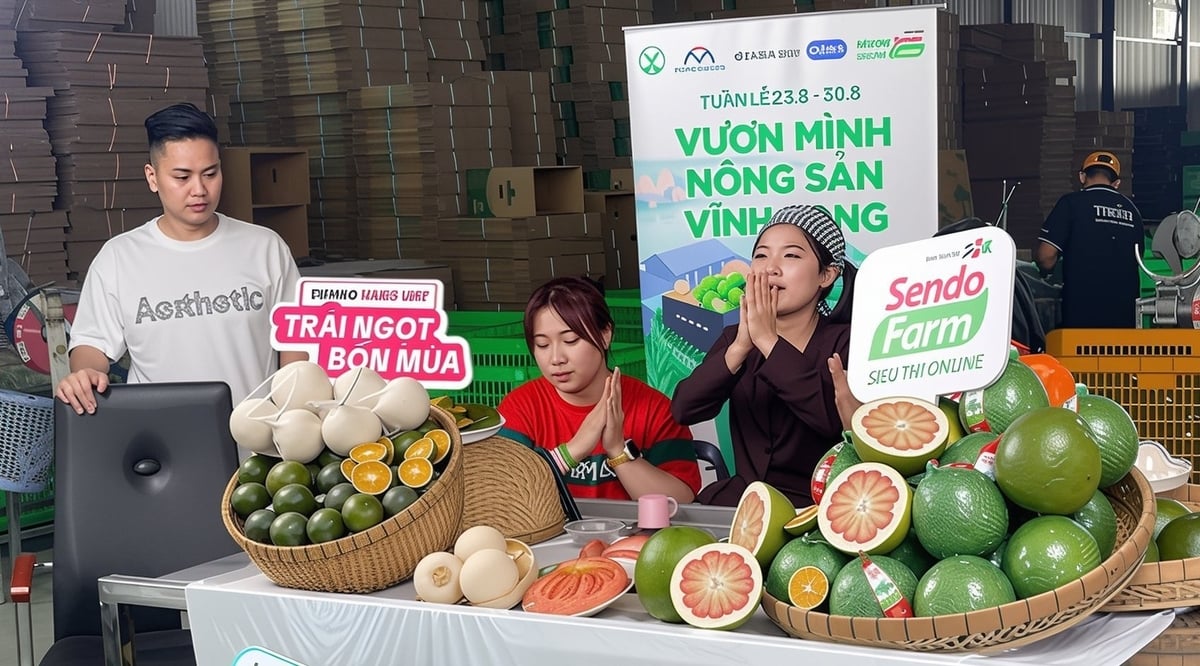 Livestream bán bưởi da xanh tại tỉnh Vĩnh Long. Ảnh: Hồ Thảo.
