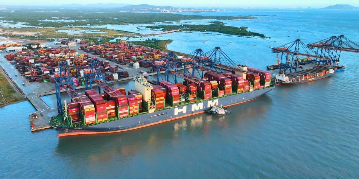 Container di chuyển từ cảng Cái Mép - Thị Vải đến Hoa Kỳ giảm xuống còn 16 ngày. Ảnh: Trà Ngân.