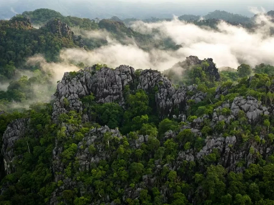kham-pha-rung-quoc-gia-hin-nam-no-di-san-lien-bien-gioi-dau-tien-cua-lao-20250714185502.webp