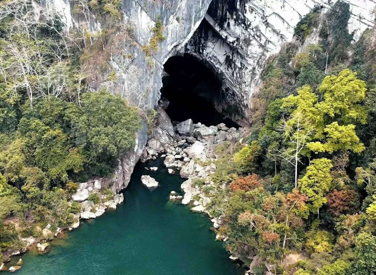 kham-pha-rung-quoc-gia-hin-nam-no-di-san-lien-bien-gioi-dau-tien-cua-lao-20250714185902.webp