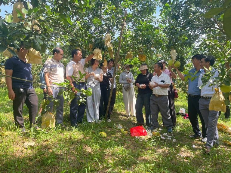 ung-ung-ai-trong-sx-nn-1758699860.jpg
