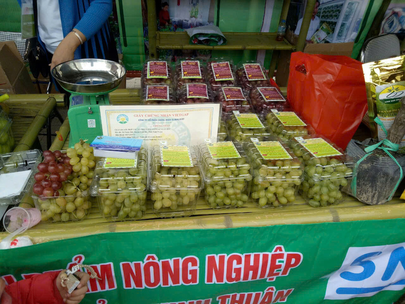 Sản phẩm của Hợp tác xã Kinh doanh dịch vụ Xuân Hải. Ảnh: NVCC