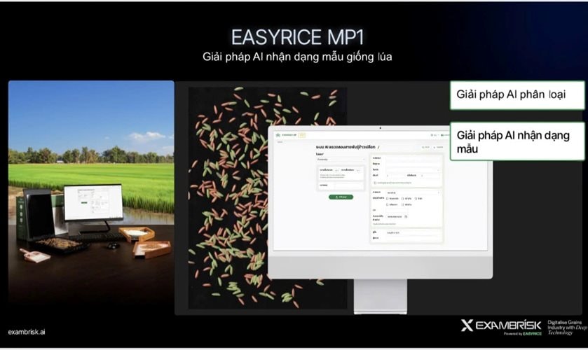 Trí tuệ nhân tạo mở đường nâng tầm hạt gạo Việt trên thị trường toàn cầu 1 z6976407980960_b17ac40cd14974b64cbf2735b983015e.jpg