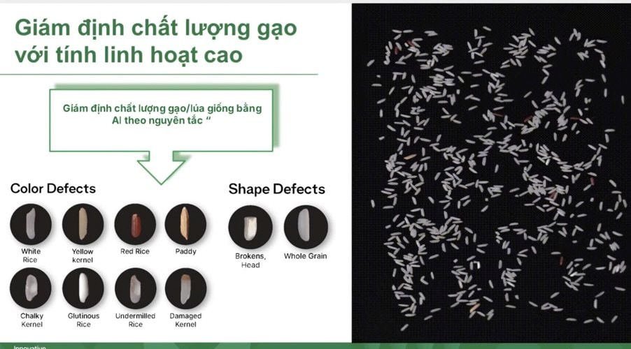 Trí tuệ nhân tạo mở đường nâng tầm hạt gạo Việt trên thị trường toàn cầu 2 z6976408492103_45b896771bd5cd3d91fed5ff35dad65c.jpg