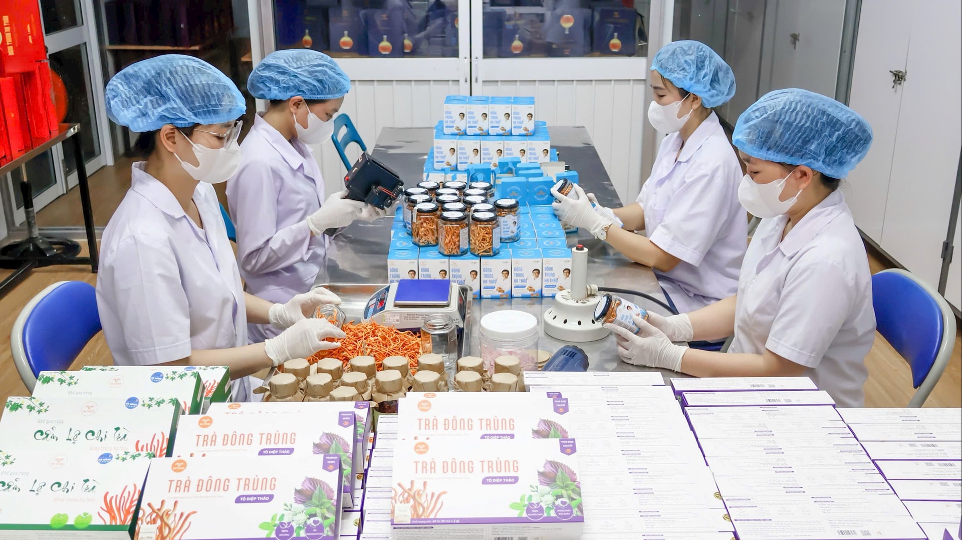Doanh nghiệp tích cực sản xuất, quảng bá sản phẩm đến người tiêu dùng. TRONG ẢNH: Sản xuất đông trùng hạ thảo tại Công ty TNHH Công nghệ sinh học Vinseed. Ảnh: P.V