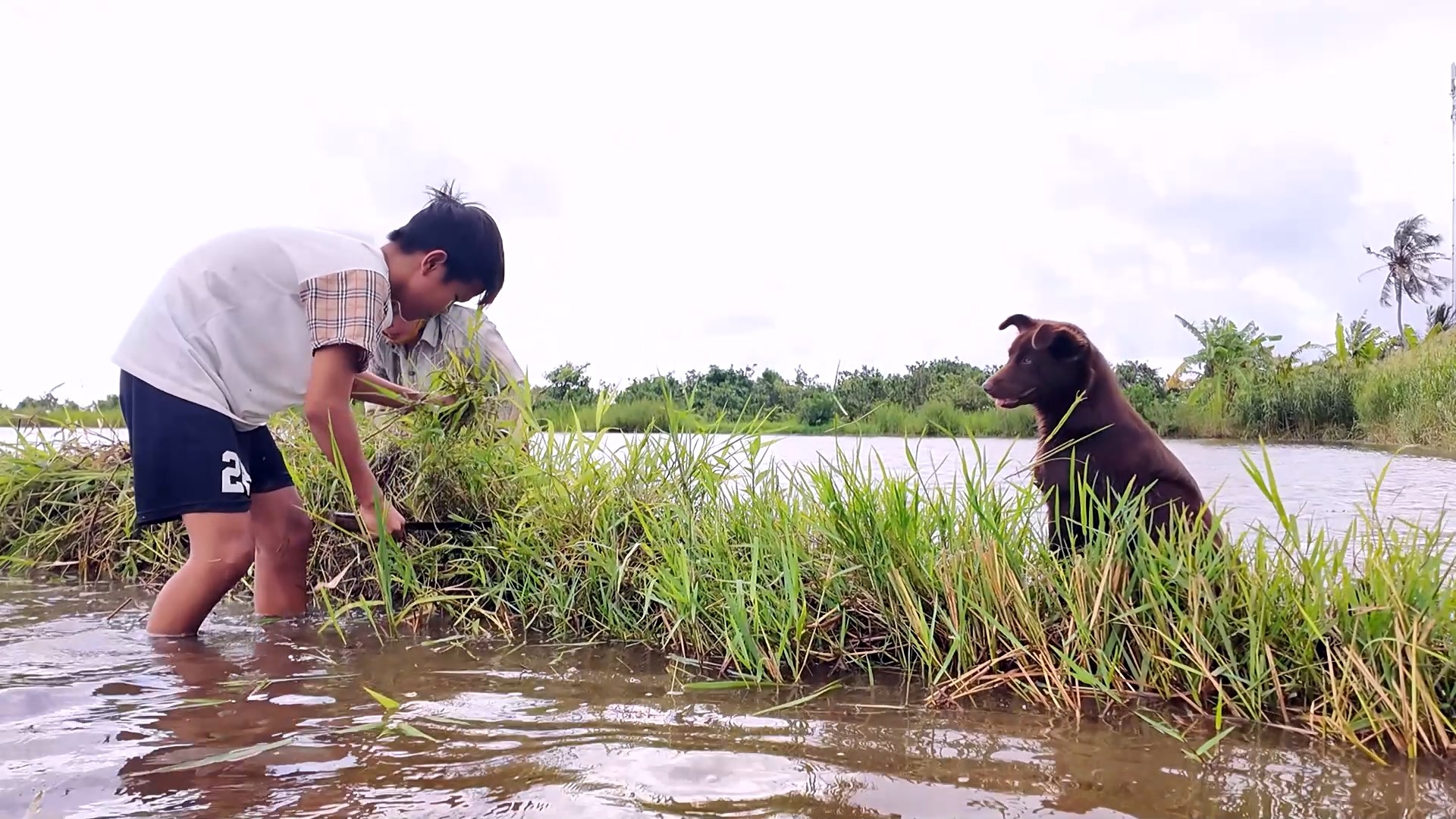 Cậu bé mồ côi bắt ếch kiếm tiền phụ giúp bà 7 Em Trọng Khang: Cậu bé mồ côi và những đêm bắt ếch kiếm tiền phụ giúp bà - Ảnh 7.