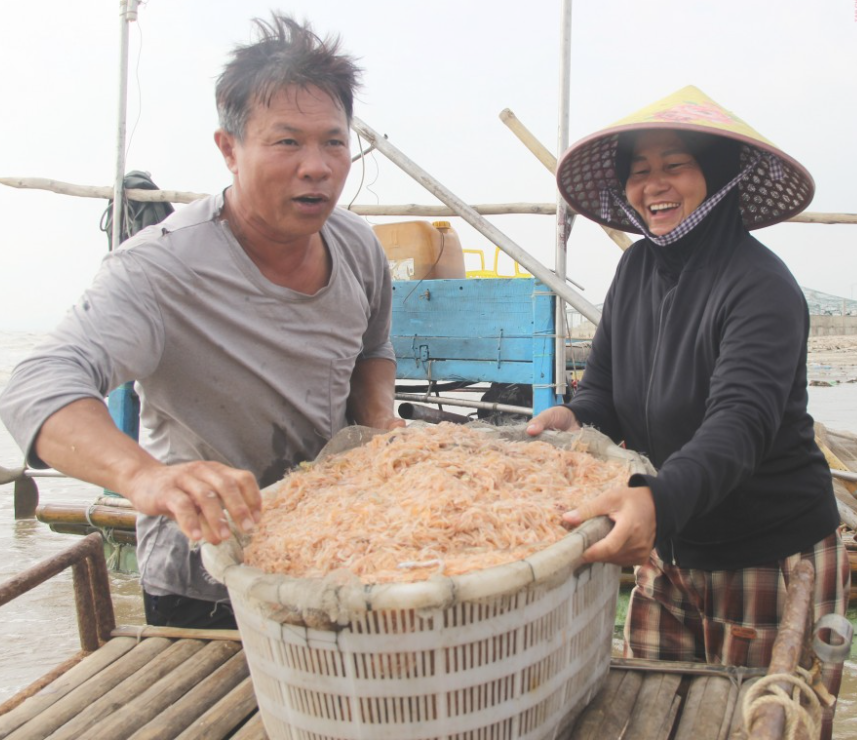 Trúng mùa ruốc biển, ngư dân Nghệ An kiếm tiền triệu mỗi ngày 2 Trúng mùa ruốc biển, ngư dân Nghệ An kiếm tiền triệu mỗi ngày - Ảnh 2