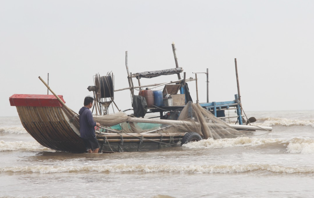 Trúng mùa ruốc biển, ngư dân Nghệ An kiếm tiền triệu mỗi ngày 1 Trúng mùa ruốc biển, ngư dân Nghệ An kiếm tiền triệu mỗi ngày - Ảnh 1