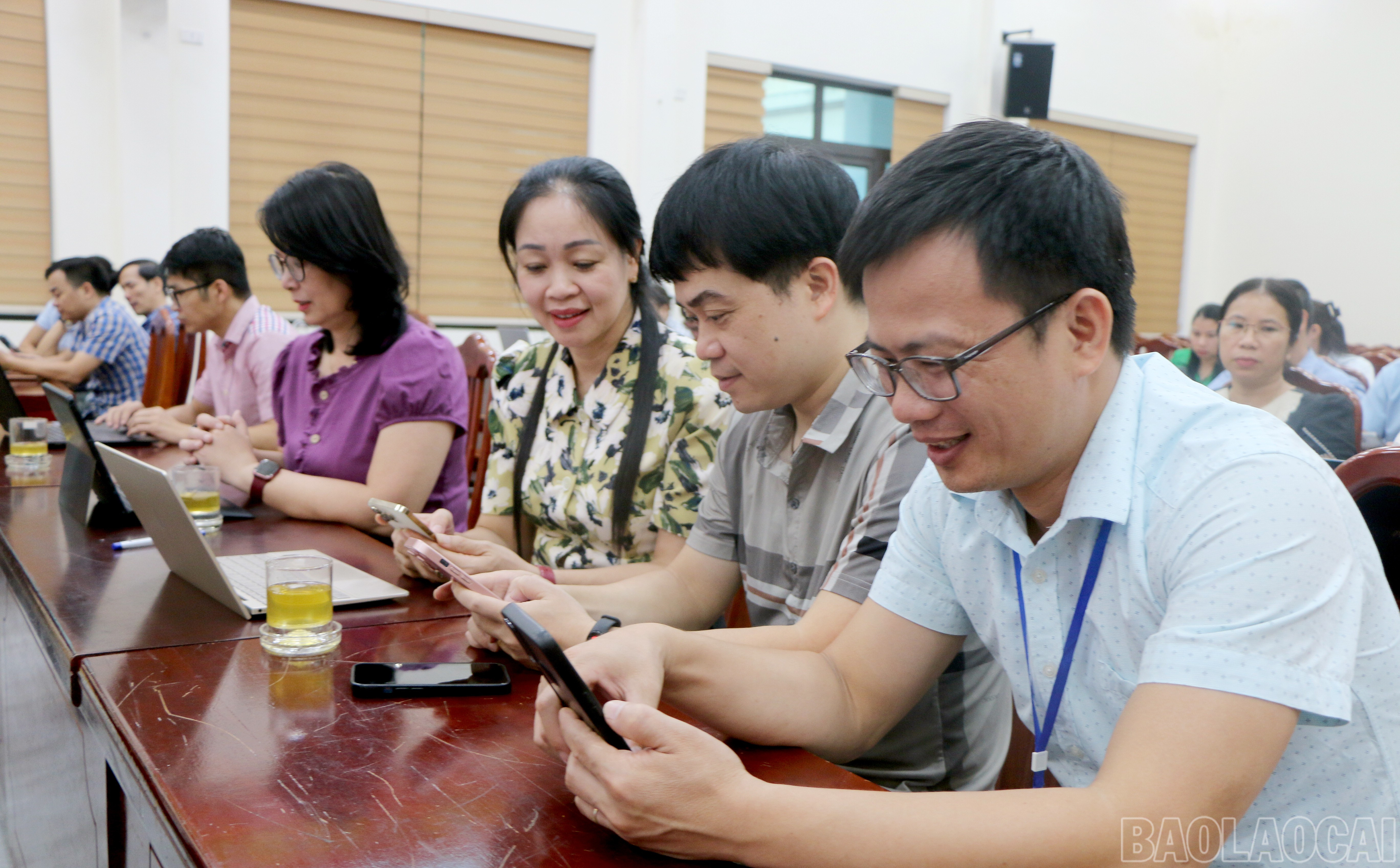 baolaocai-br_img-0157.jpg