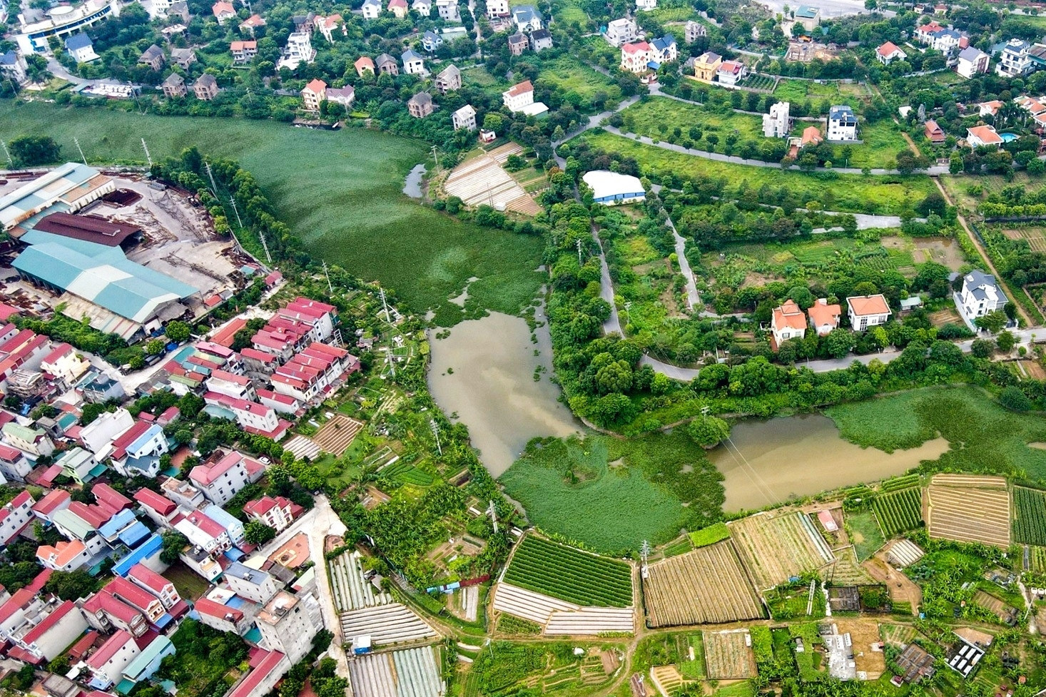 sap het canh mat tien ty khi chuyen dat vuon sang dat o 4231