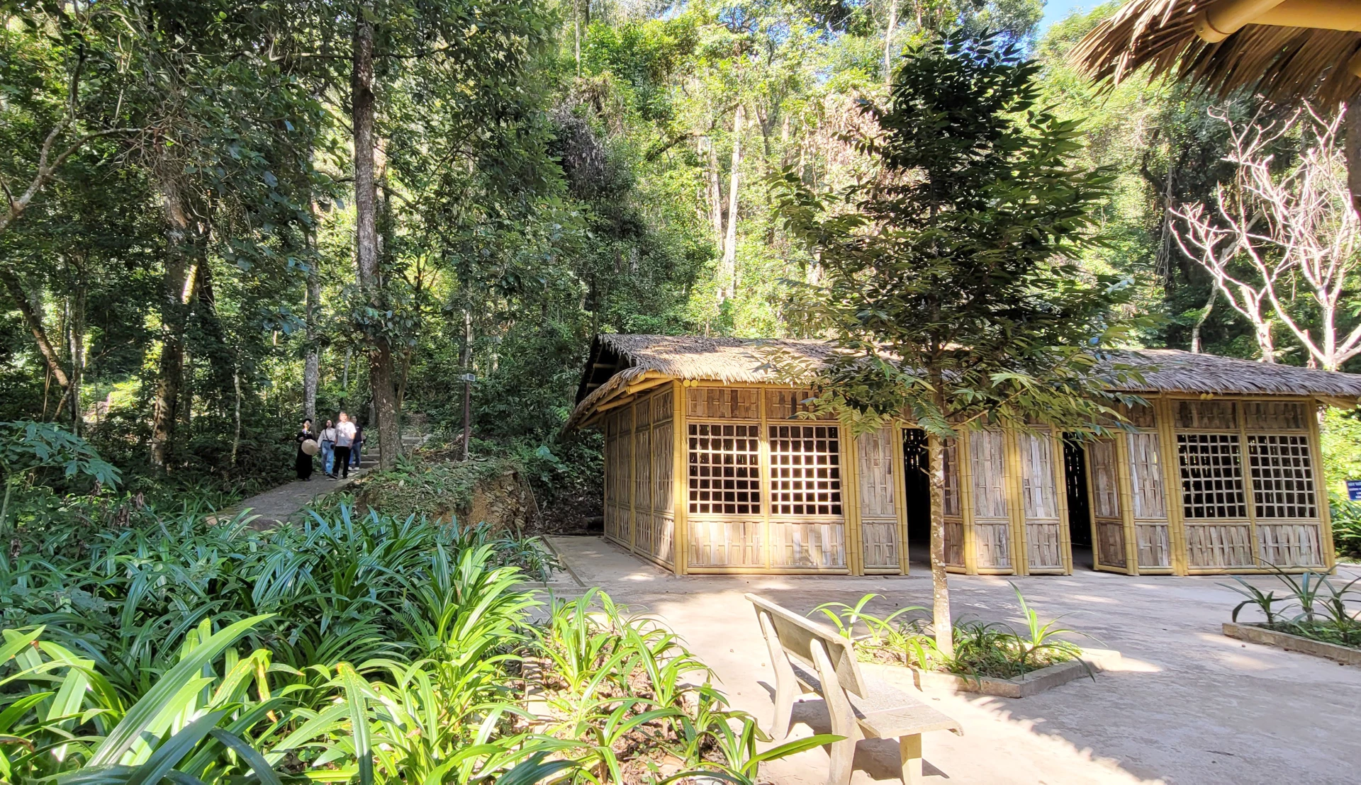 Khu rừng Trần Hưng Đạo, nơi thành lập Đội Việt Nam tuyên truyền giải phóng quân - Ảnh:T.Long