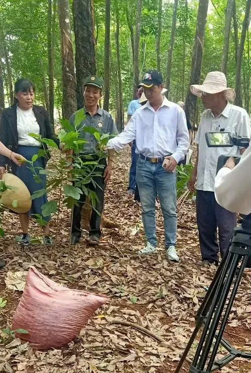 Rừng trầm hương và cây gỗ quý của CCB Trần Văn Thuỷ z7099041711950_4718646b151fce5718d1092bf13f080b-1913
