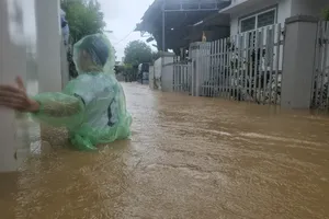 Ông Trần Phong được giới thiệu để bầu làm Chủ tịch UBND tỉnh Khánh Hòa 1 Người dân Nha Trang kiệt sức trong trận lụt lịch sử lần thứ 3