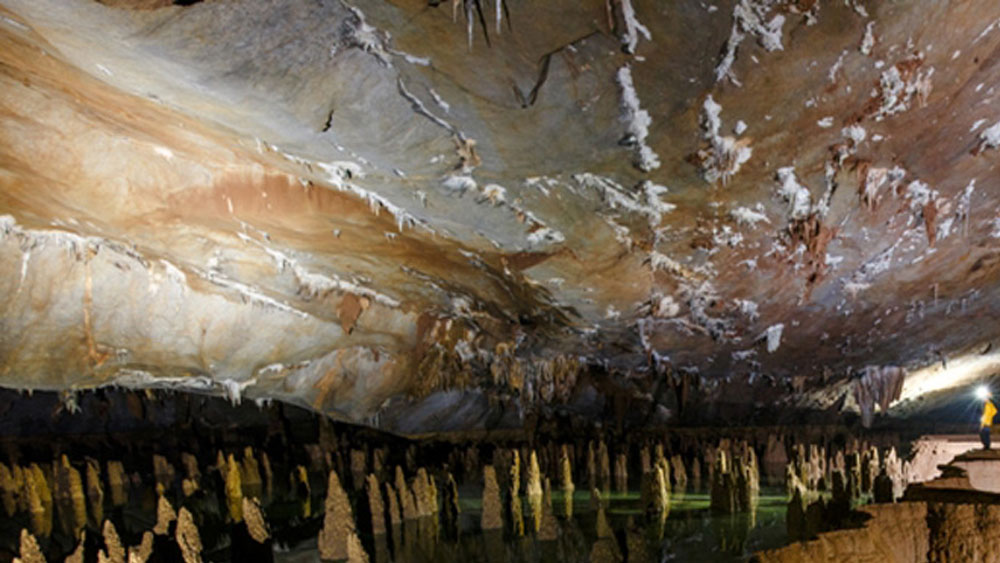 {keywords} {keywords}