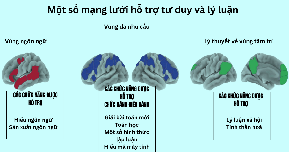 Ngôn ngữ lớn, không đồng nghĩa với trí thông minh- Ảnh 2. Ngôn ngữ lớn, không đồng nghĩa với trí thông minh- Ảnh 2.