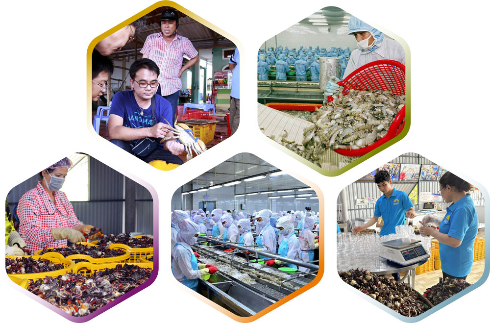 Xây dựng NTM gắn với thích ứng biến đổi khí hậu và phát triển thương mại điện tử 13 ca mau xay dung ntm gan voi thich ung bien doi khi hau va phat trien thuong mai dien tu 69181dadb56