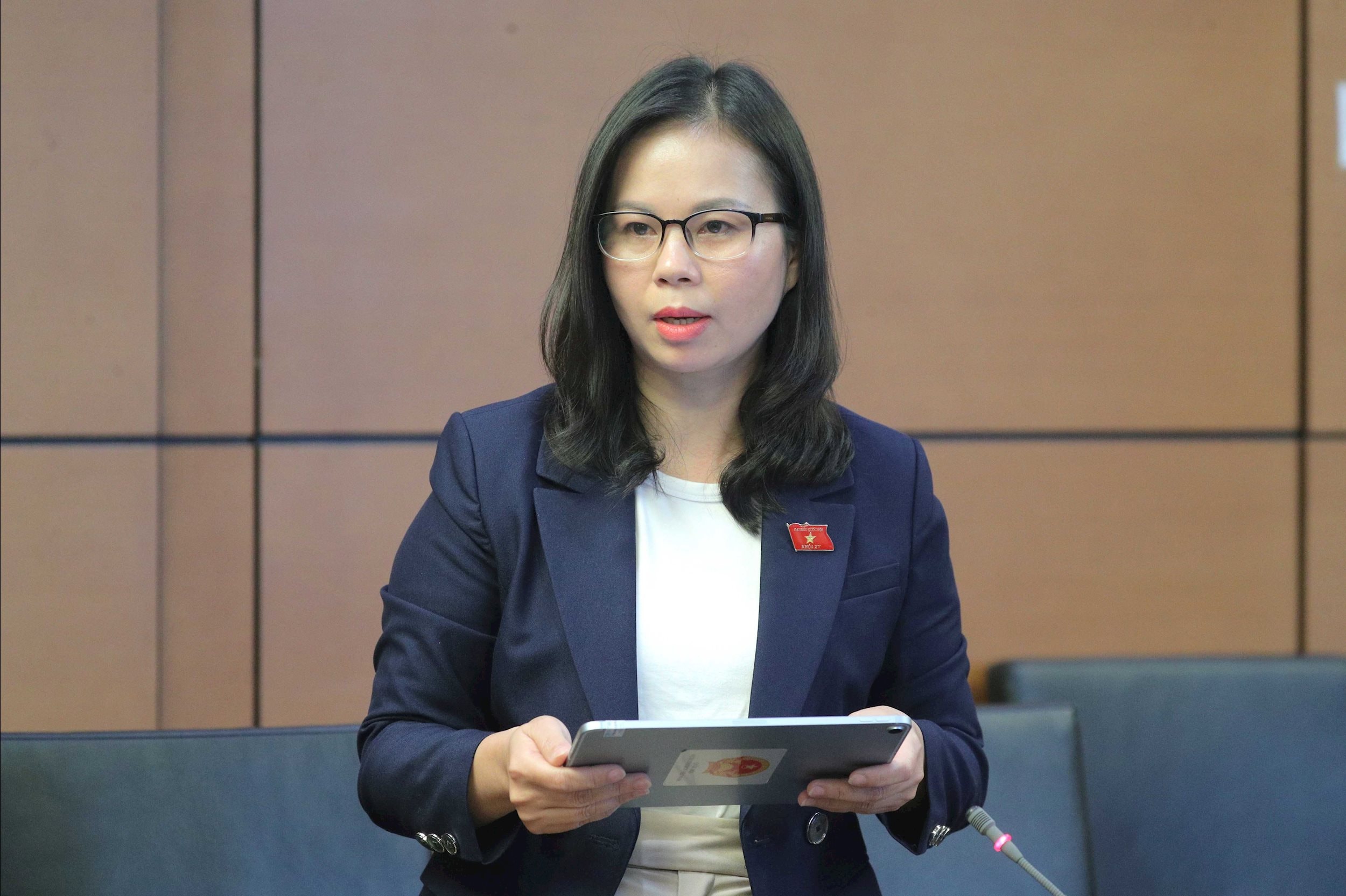 Cần chuẩn hóa dữ liệu thống kê và thiết lập cơ chế quản lý thương mại điện tử liên ngành 5 DBQH Chu Thị Hồng Thái (Lạng Sơn)