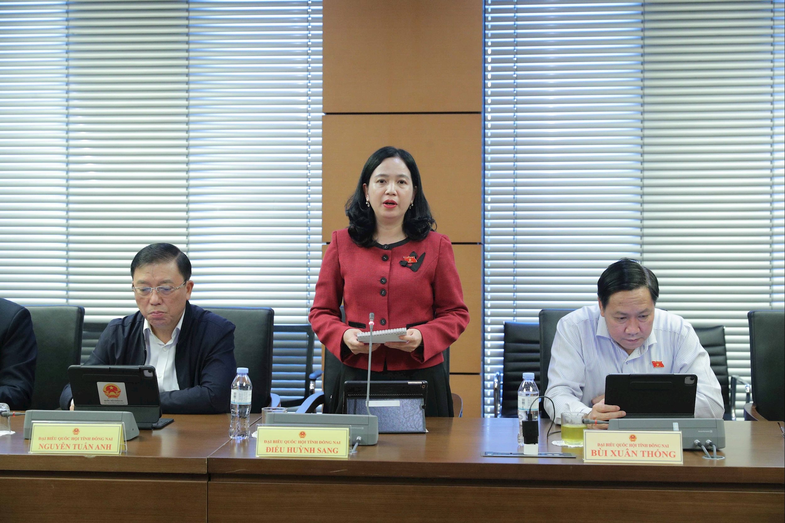 Cần chuẩn hóa dữ liệu thống kê và thiết lập cơ chế quản lý thương mại điện tử liên ngành 4 DBQH Điểu Huỳnh Sang (Đồng Nai)